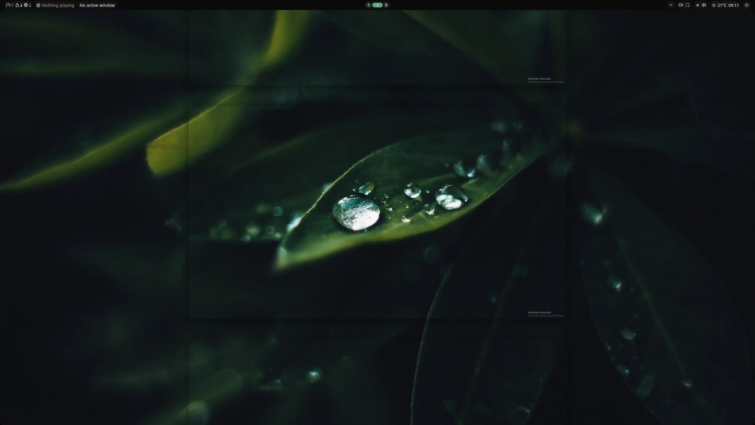 Stationary Wallpaper